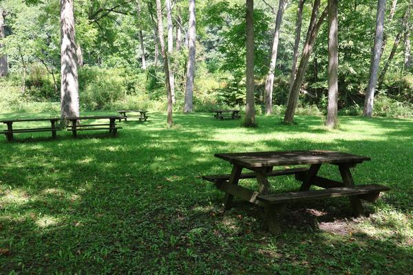 Picnic tables on a shady lawn