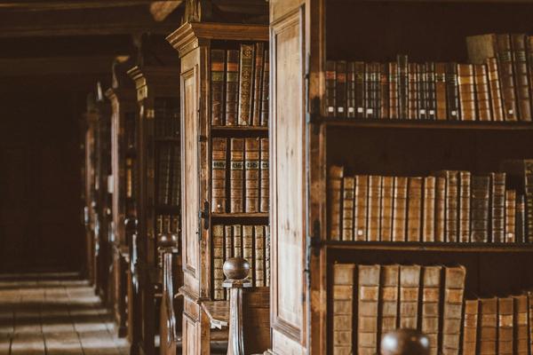 Wooden bookshelves